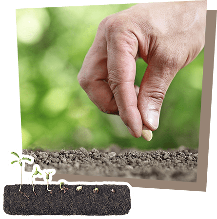 お客様の想いの「たね」を共に育てる