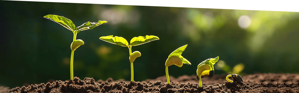 空間工房たねについて